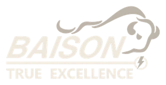 BAISON logo