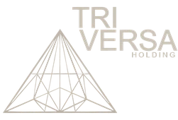 Tri Versa Holding logo